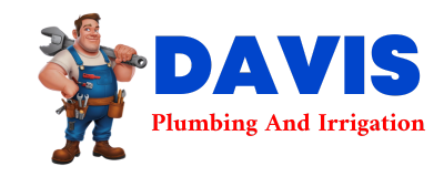 Trusted plumber in SWITZ CITY